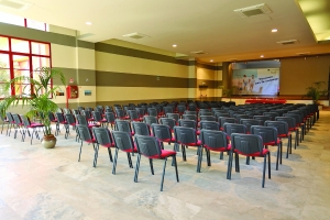 Conference Facilities 